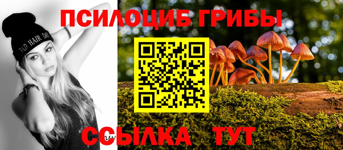 Псилоцибиновые грибы мицелий  Галлюциногенные грибы GOLDEN TEACHER  Вход с VPN  закладка  Тамбов 