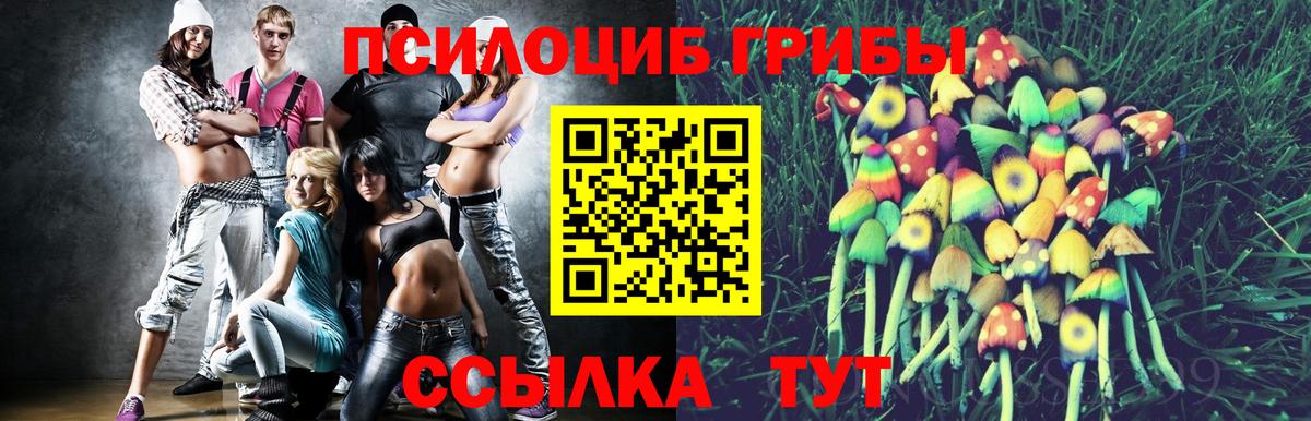 Галлюциногенные грибы GOLDEN TEACHER Тамбов
